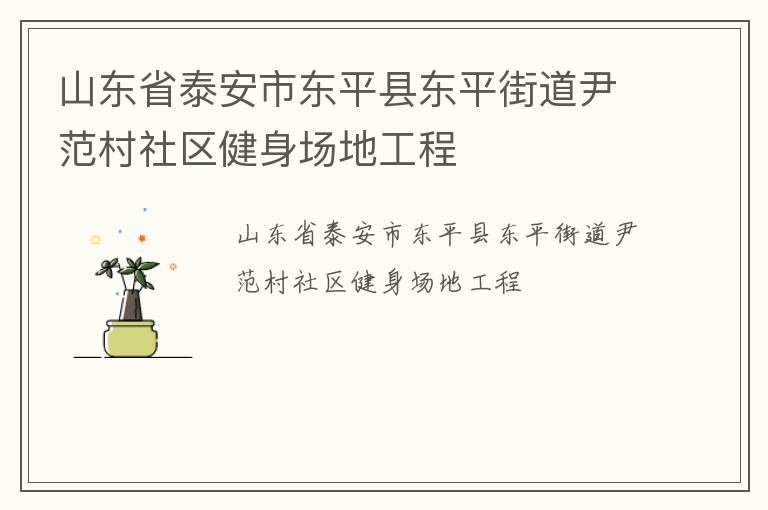 山东省泰安市东平县东平街道尹范村社区健身场地工程