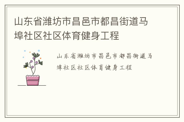 山东省潍坊市昌邑市都昌街道马埠社区社区体育健身工程