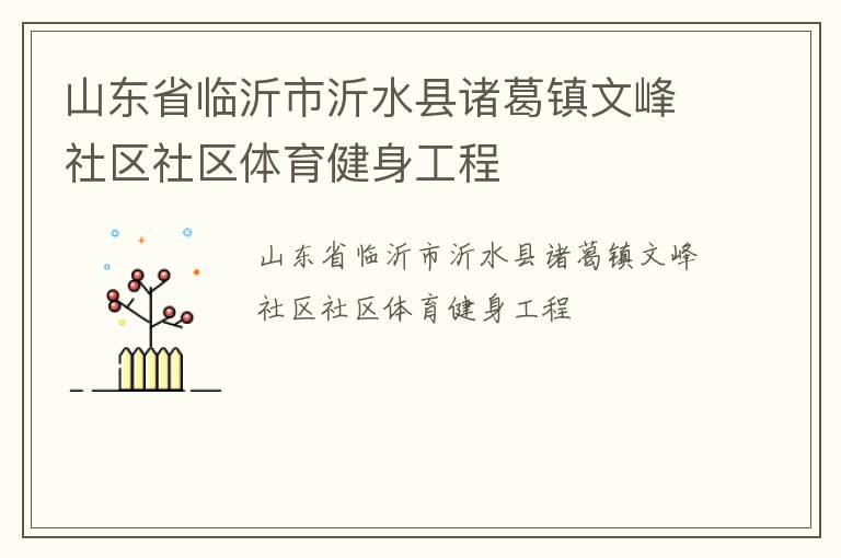 山东省临沂市沂水县诸葛镇文峰社区社区体育健身工程