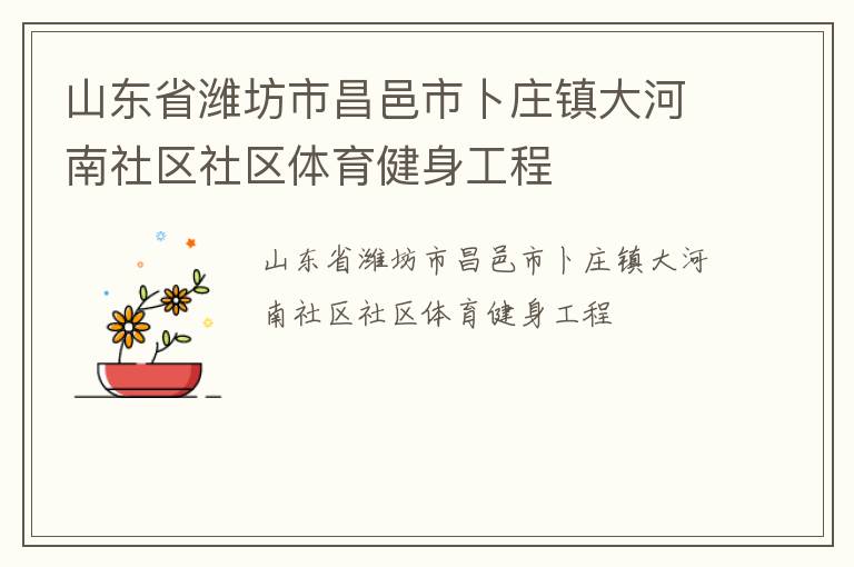 山东省潍坊市昌邑市卜庄镇大河南社区社区体育健身工程