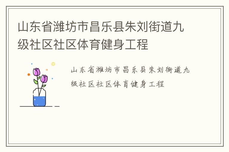 山东省潍坊市昌乐县朱刘街道九级社区社区体育健身工程
