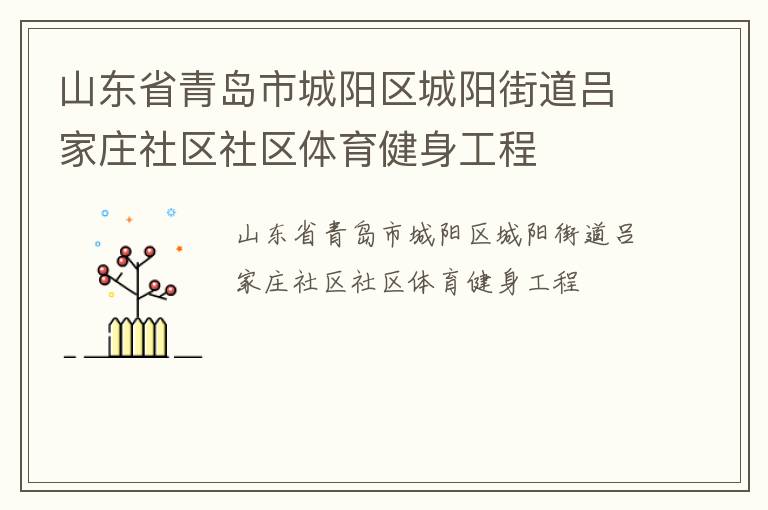 山东省青岛市城阳区城阳街道吕家庄社区社区体育健身工程