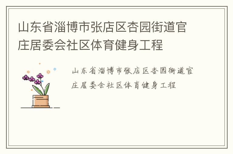 山东省淄博市张店区杏园街道官庄居委会社区体育健身工程