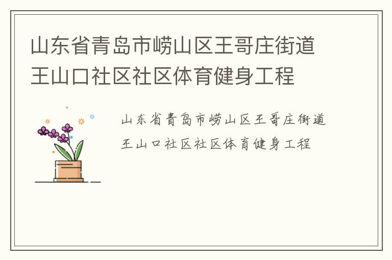 山东省青岛市崂山区王哥庄街道王山口社区社区体育健身工程
