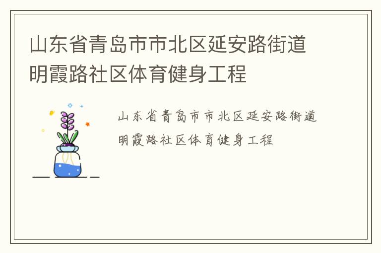 山东省青岛市市北区延安路街道明霞路社区体育健身工程