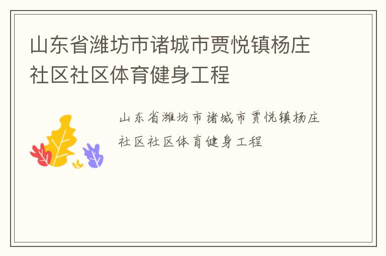 山东省潍坊市诸城市贾悦镇杨庄社区社区体育健身工程