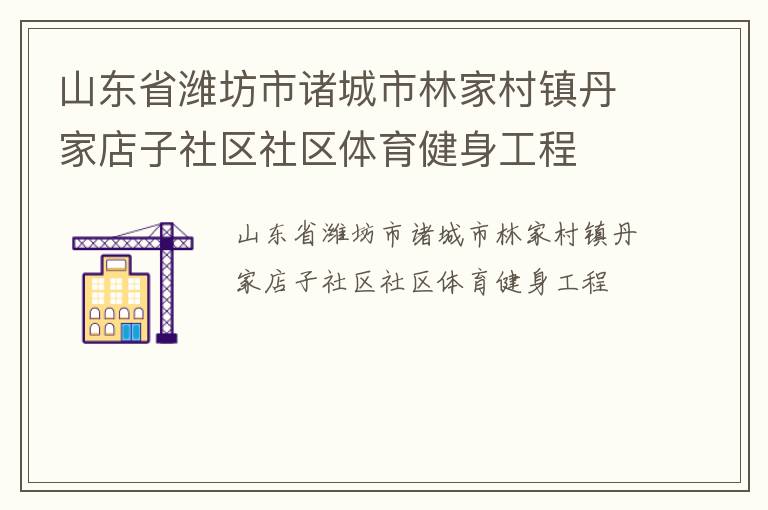 山东省潍坊市诸城市林家村镇丹家店子社区社区体育健身工程