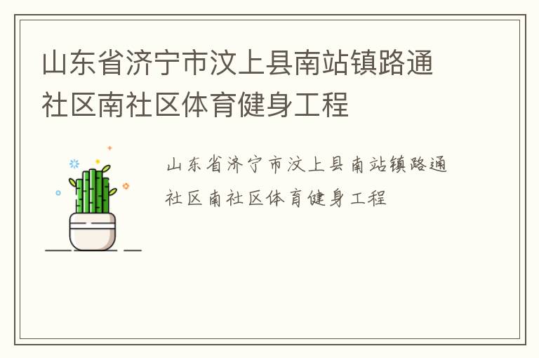 山东省济宁市汶上县南站镇路通社区南社区体育健身工程