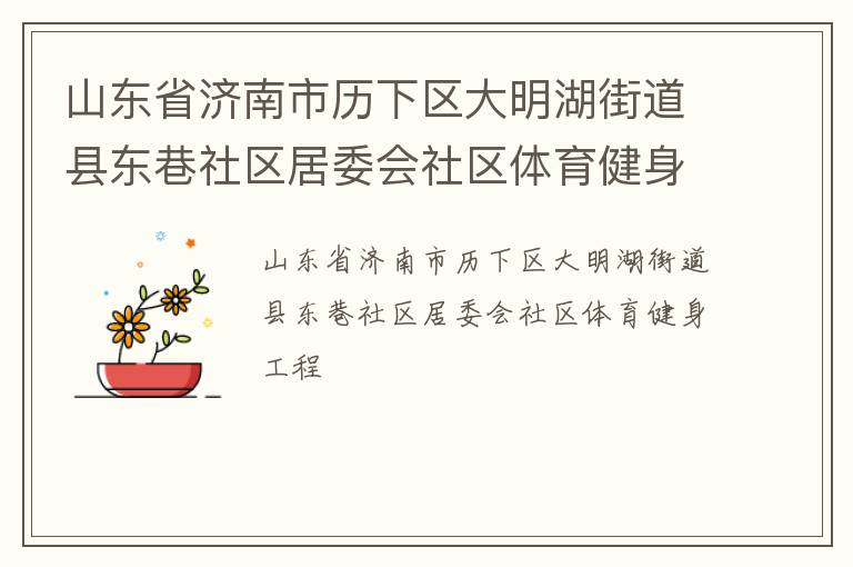山东省济南市历下区大明湖街道县东巷社区居委会社区体育健身工程