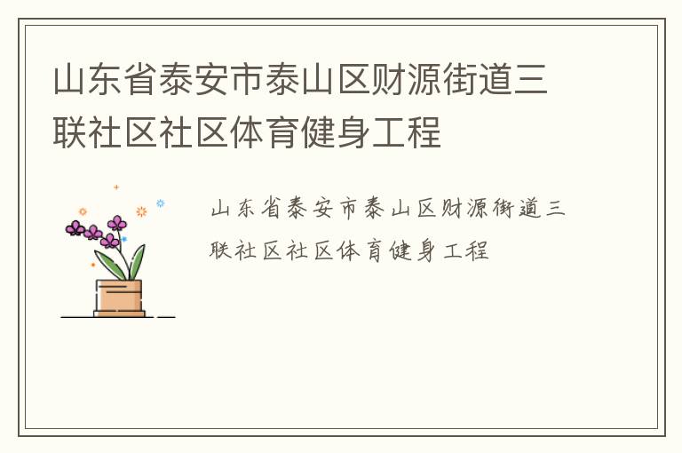山东省泰安市泰山区财源街道三联社区社区体育健身工程