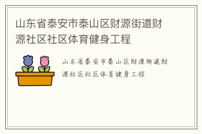 山东省泰安市泰山区财源街道财源社区社区体育健身工程