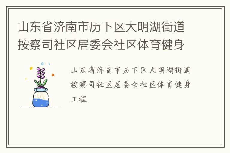 山东省济南市历下区大明湖街道按察司社区居委会社区体育健身工程