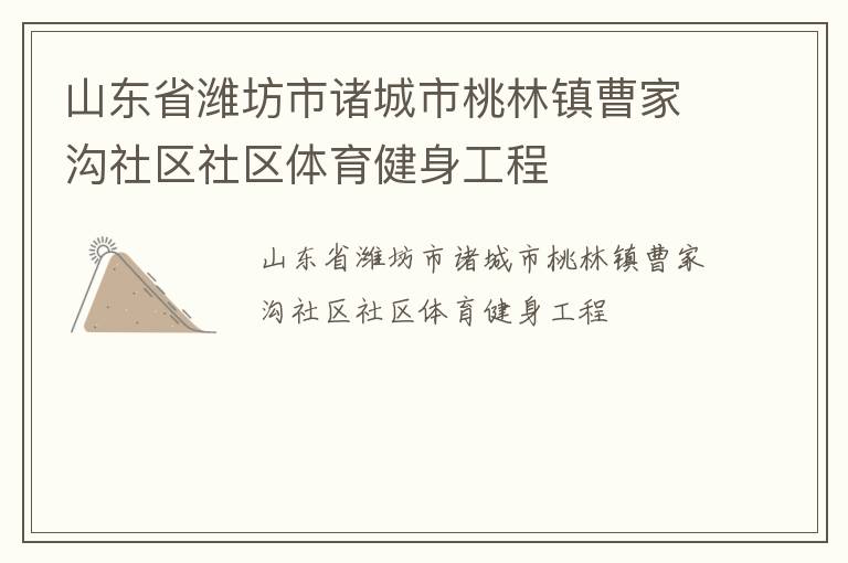 山东省潍坊市诸城市桃林镇曹家沟社区社区体育健身工程