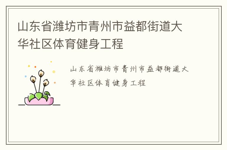 山东省潍坊市青州市益都街道大华社区体育健身工程