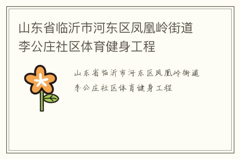 山东省临沂市河东区凤凰岭街道李公庄社区体育健身工程