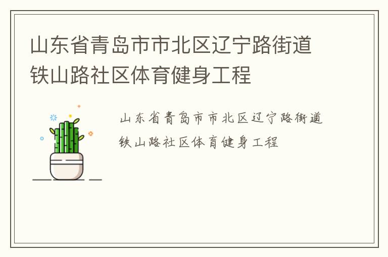山东省青岛市市北区辽宁路街道铁山路社区体育健身工程