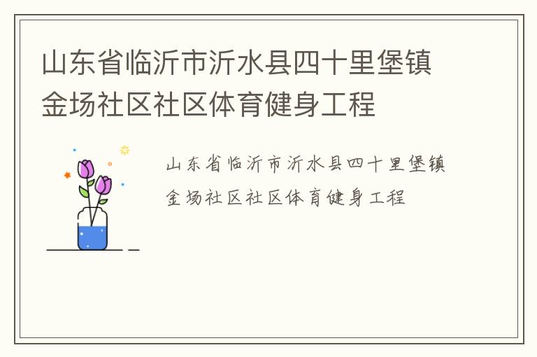 山东省临沂市沂水县四十里堡镇金场社区社区体育健身工程