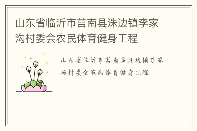 山东省临沂市莒南县洙边镇李家沟村委会农民体育健身工程