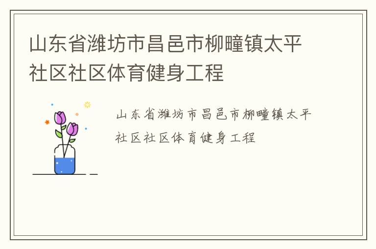 山东省潍坊市昌邑市柳疃镇太平社区社区体育健身工程