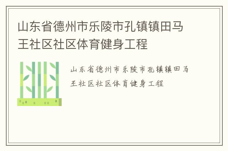 山东省德州市乐陵市孔镇镇田马王社区社区体育健身工程