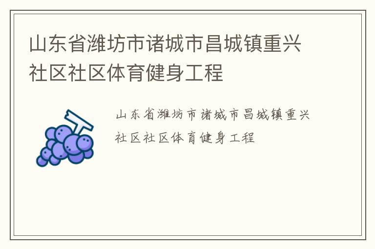 山东省潍坊市诸城市昌城镇重兴社区社区体育健身工程