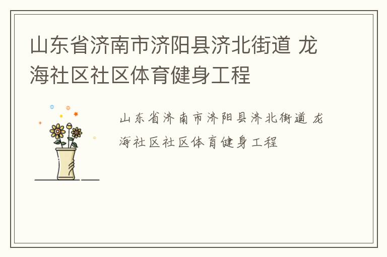 山东省济南市济阳县济北街道 龙海社区社区体育健身工程