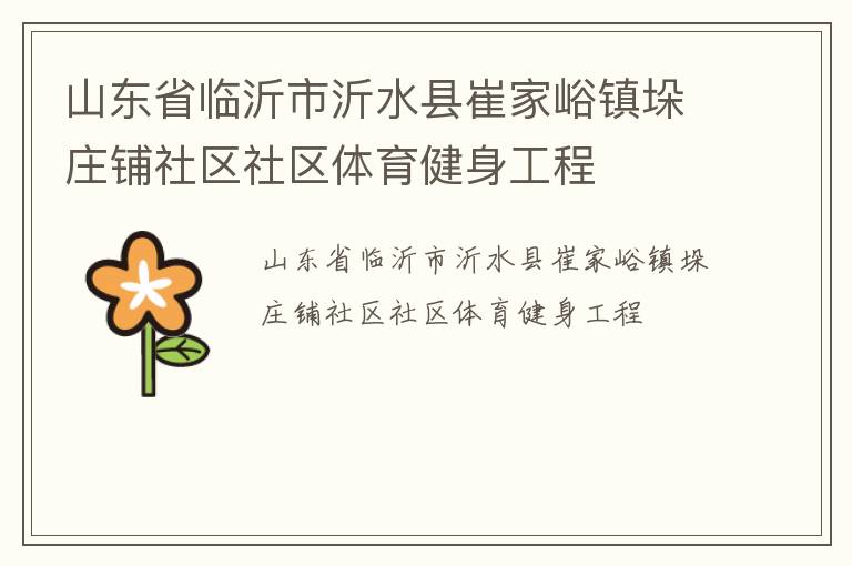 山东省临沂市沂水县崔家峪镇垛庄铺社区社区体育健身工程