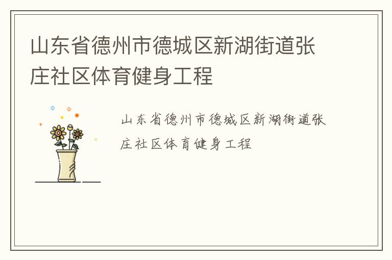 山东省德州市德城区新湖街道张庄社区体育健身工程