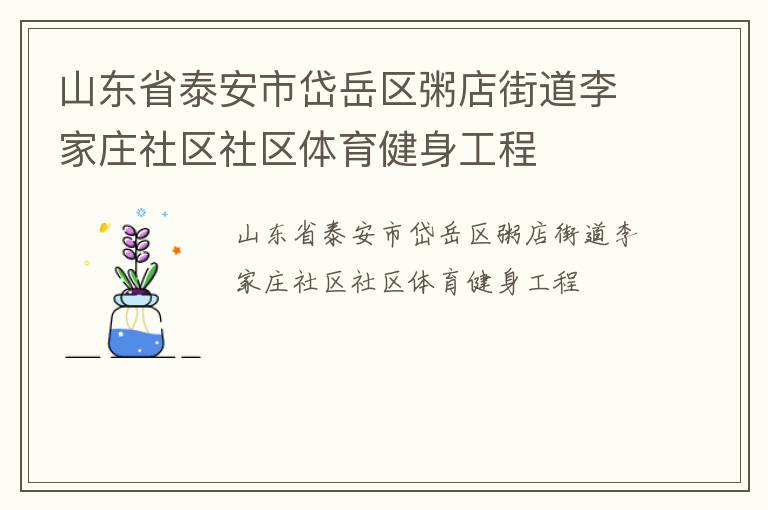 山东省泰安市岱岳区粥店街道李家庄社区社区体育健身工程