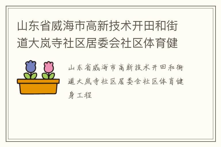 山东省威海市高新技术开田和街道大岚寺社区居委会社区体育健身工程