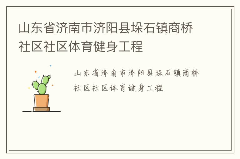 山东省济南市济阳县垛石镇商桥社区社区体育健身工程