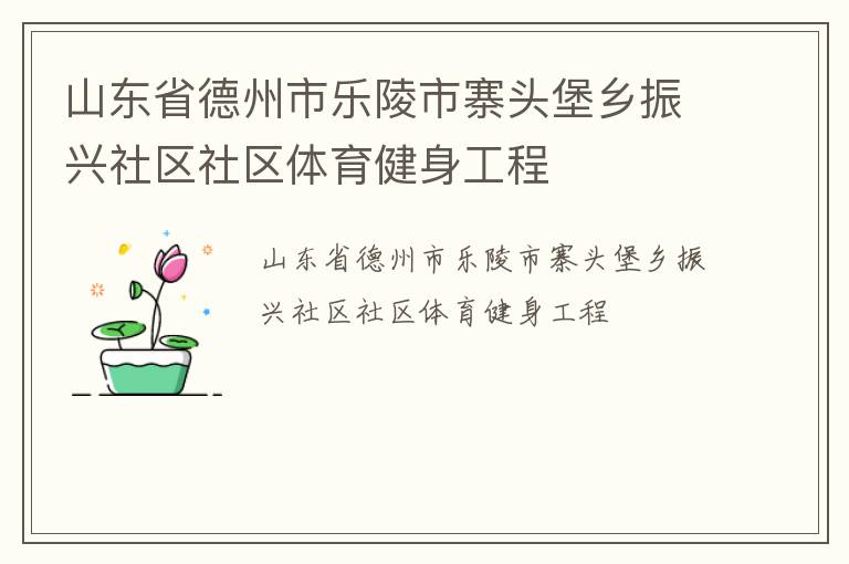 山东省德州市乐陵市寨头堡乡振兴社区社区体育健身工程
