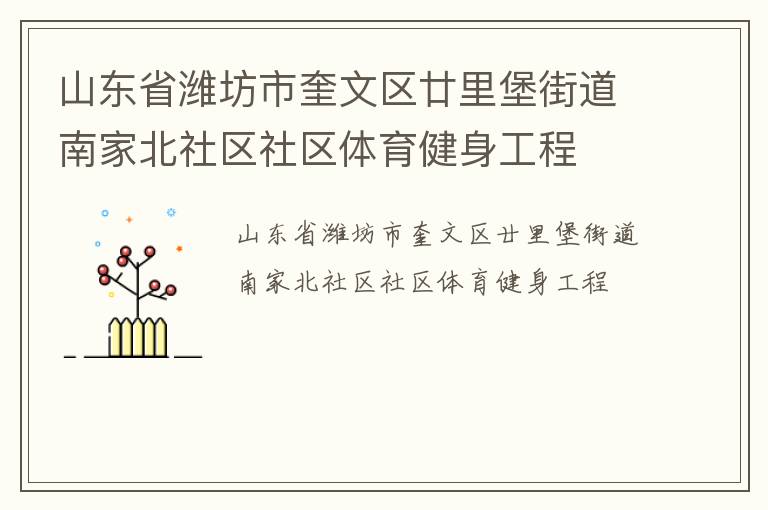山东省潍坊市奎文区廿里堡街道南家北社区社区体育健身工程