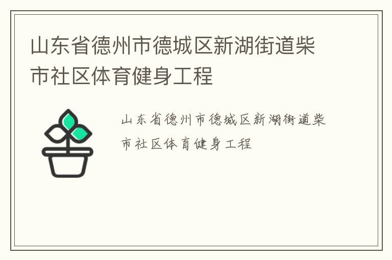 山东省德州市德城区新湖街道柴市社区体育健身工程