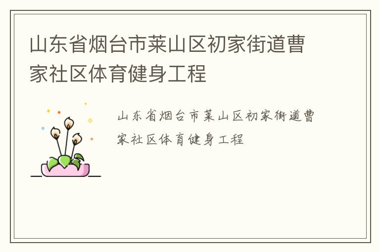 山东省烟台市莱山区初家街道曹家社区体育健身工程
