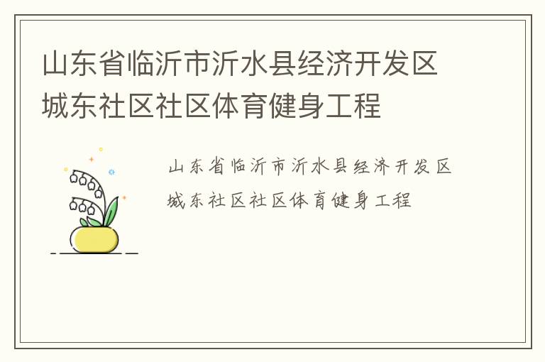 山东省临沂市沂水县经济开发区城东社区社区体育健身工程