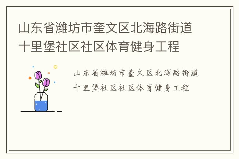 山东省潍坊市奎文区北海路街道十里堡社区社区体育健身工程