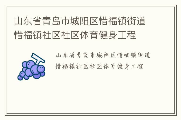 山东省青岛市城阳区惜福镇街道惜福镇社区社区体育健身工程