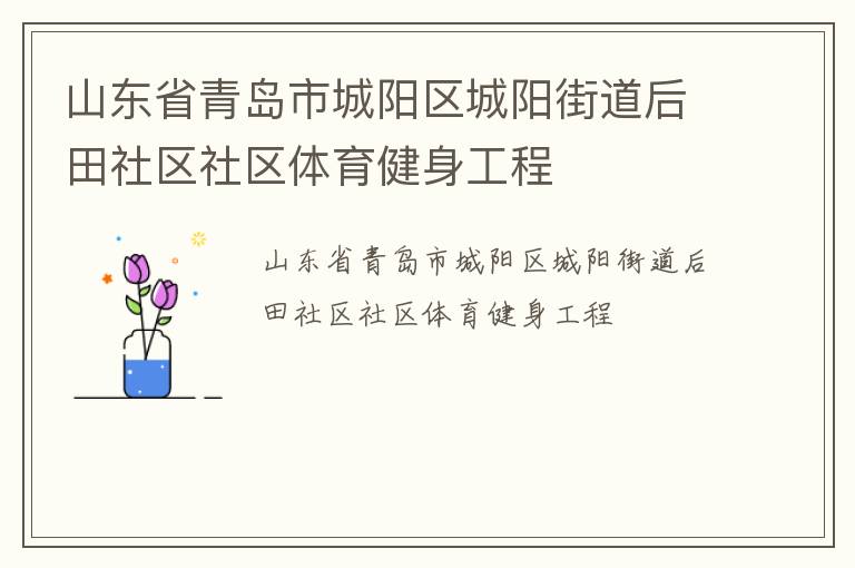 山东省青岛市城阳区城阳街道后田社区社区体育健身工程