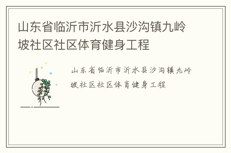 山东省临沂市沂水县沙沟镇九岭坡社区社区体育健身工程