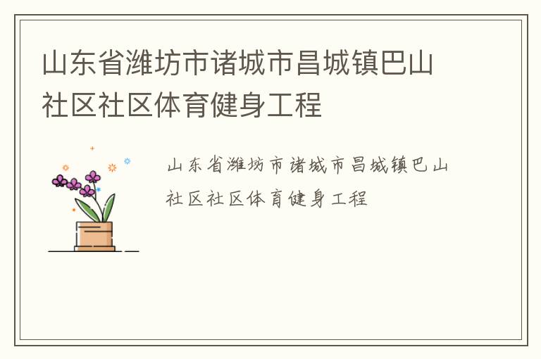 山东省潍坊市诸城市昌城镇巴山社区社区体育健身工程