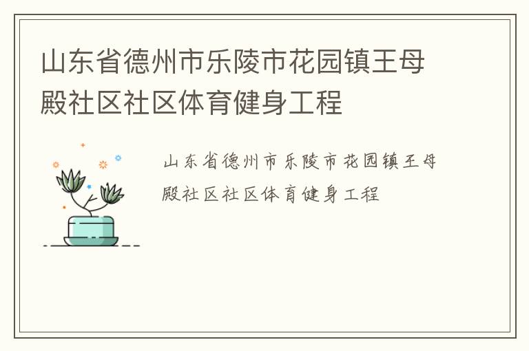 山东省德州市乐陵市花园镇王母殿社区社区体育健身工程