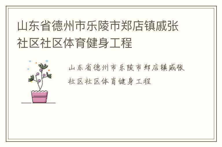 山东省德州市乐陵市郑店镇戚张社区社区体育健身工程
