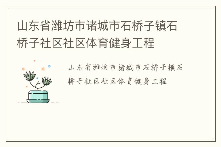 山东省潍坊市诸城市石桥子镇石桥子社区社区体育健身工程