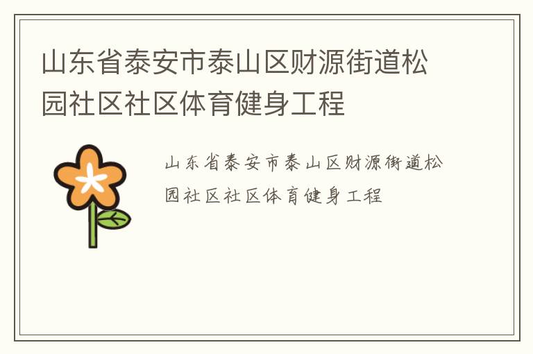 山东省泰安市泰山区财源街道松园社区社区体育健身工程