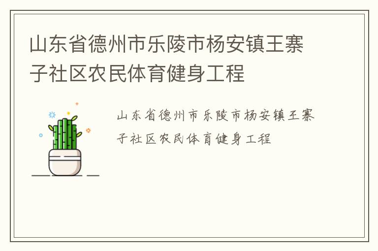 山东省德州市乐陵市杨安镇王寨子社区农民体育健身工程