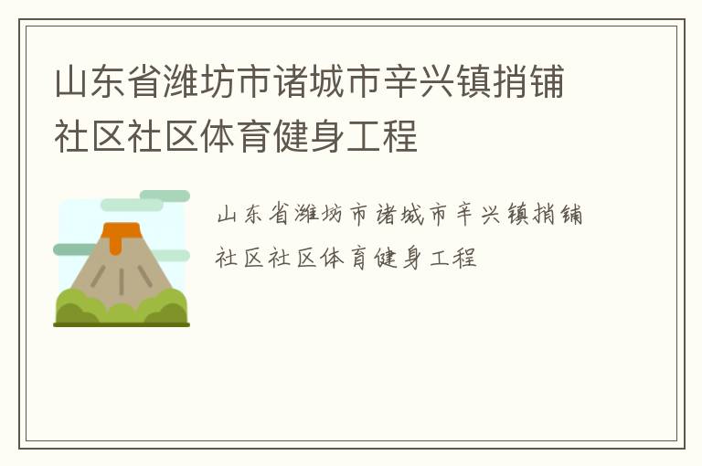 山东省潍坊市诸城市辛兴镇捎铺社区社区体育健身工程