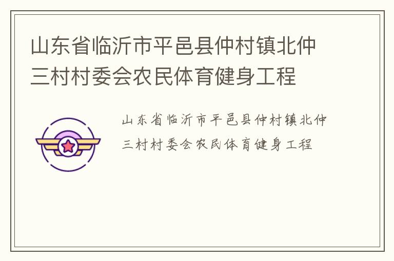 山东省临沂市平邑县仲村镇北仲三村村委会农民体育健身工程