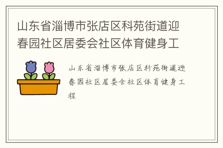 山东省淄博市张店区科苑街道迎春园社区居委会社区体育健身工程