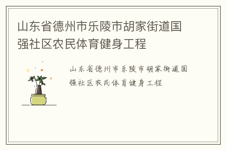 山东省德州市乐陵市胡家街道国强社区农民体育健身工程
